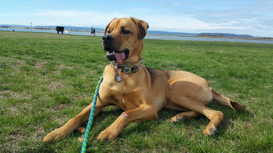 The Role of DEI Initiatives in Recruiting Top Talent in Competitive Industries